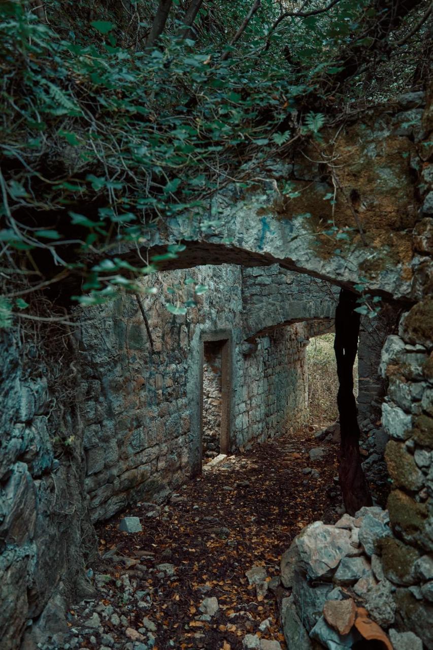 Chateau Du Soleil Villas Tivat Exteriér fotografie