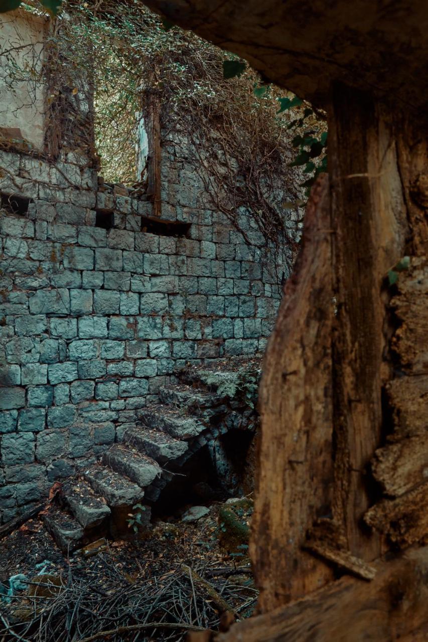 Chateau Du Soleil Villas Tivat Exteriér fotografie